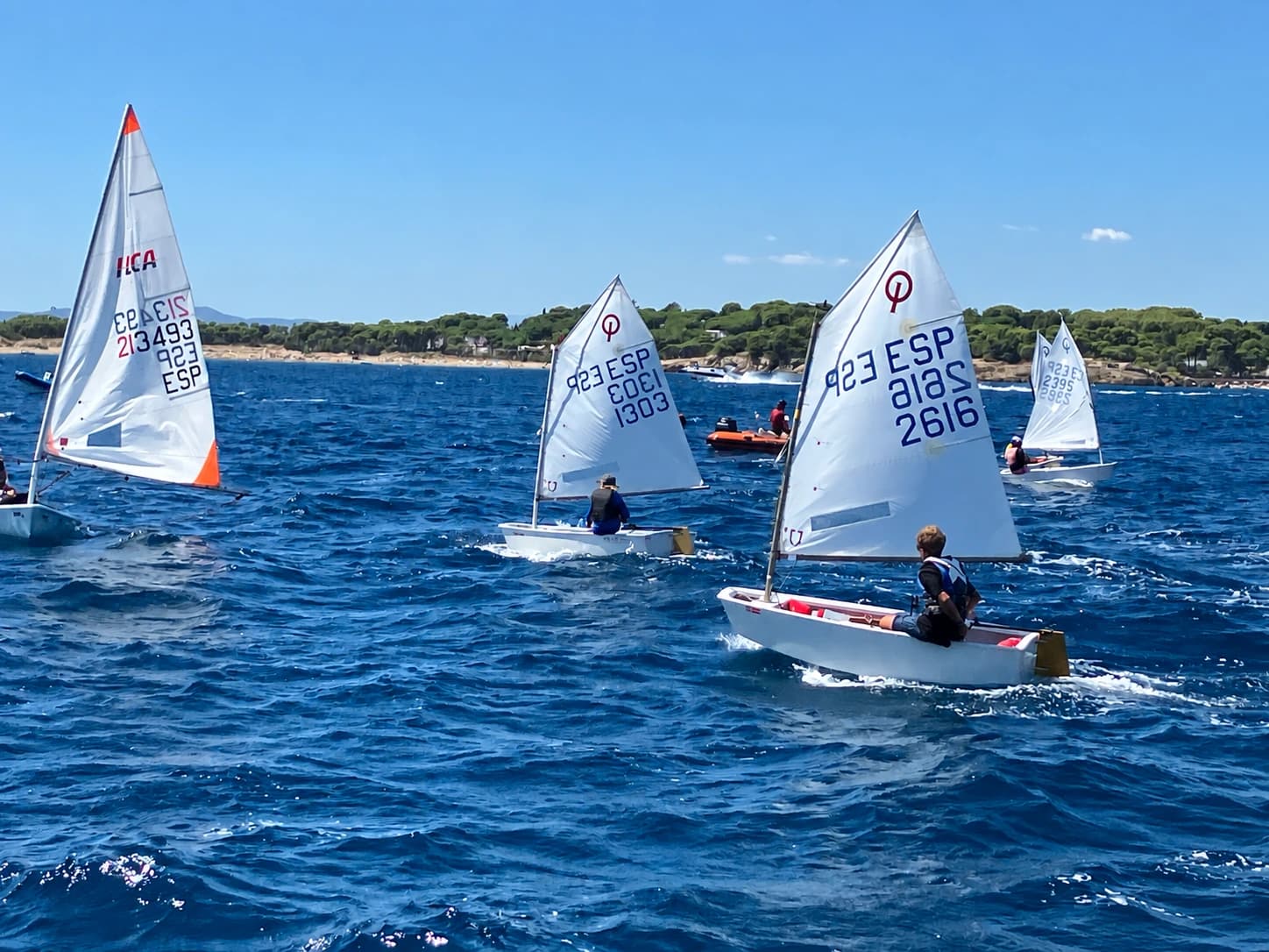 Dos jóvenes navegantes en los Optimist de velas 1303 y 2616, frente a una costa mediterránea